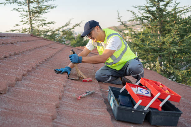 Best Roof Replacement Cost  in Alderson, WV