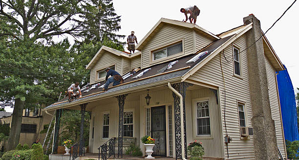 Best Residential Roof Replacement  in Alderson, WV