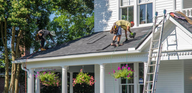 Roof Gutter Cleaning in Alderson, WV